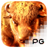 Link Gacor Online Happytoto4d Buffalo Win